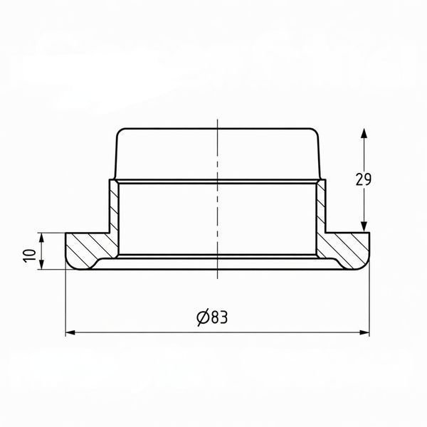Направляюча втулка замка контейнерного Schneider-AluTeam 906.000.273 &Oslash;52 T14838 фото